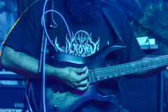 DSC_0335